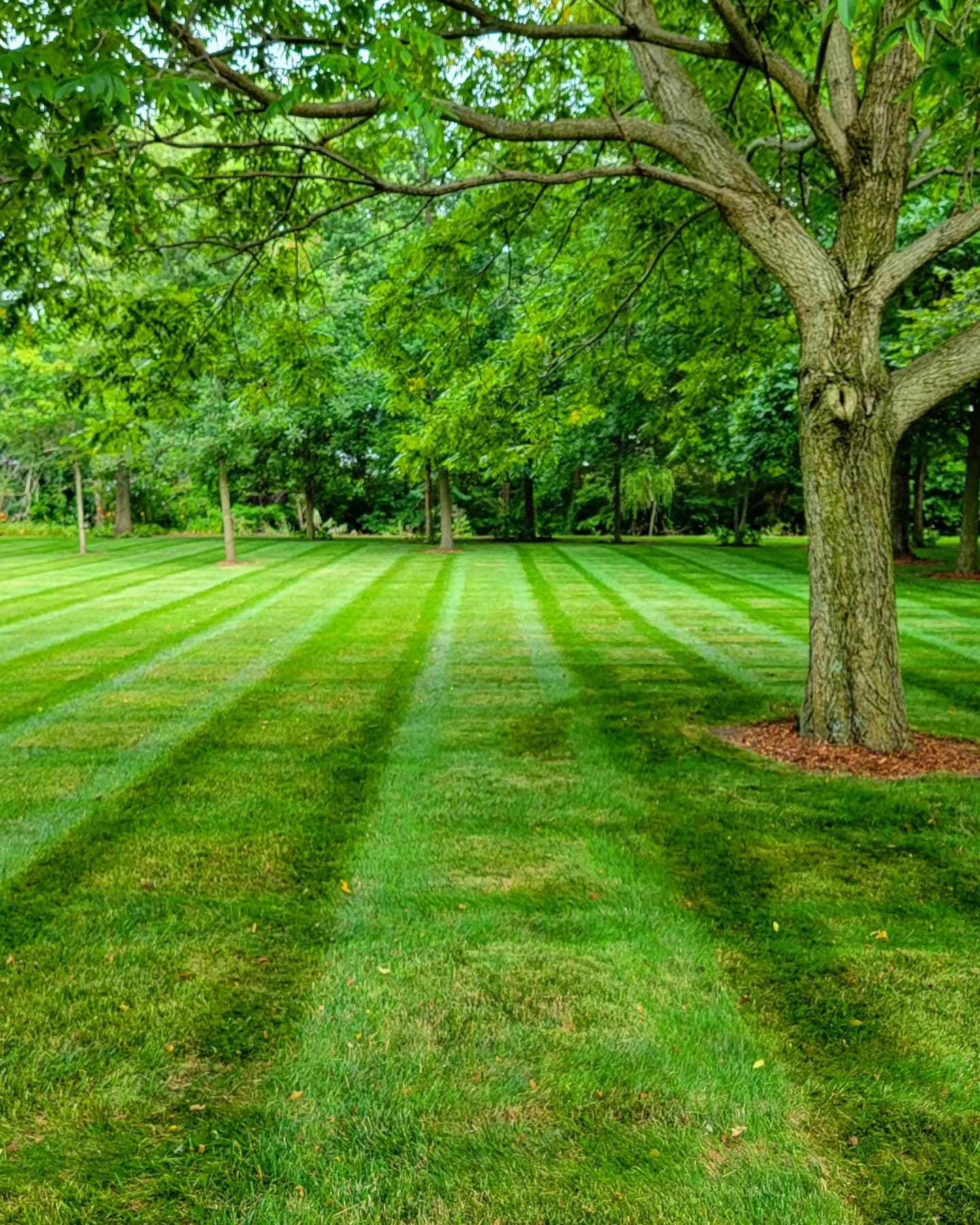 Breiner Lawn & Landscape | Lawn Care in Circleville, OH